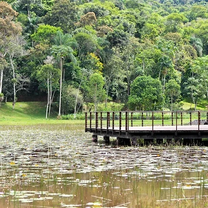 Pousada Cipriani - Matias Barbosa - Ponto Turístico Jardim Botânico
